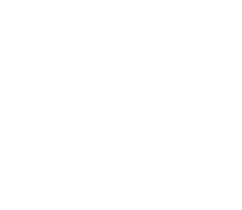 webscraperapi.ai logo